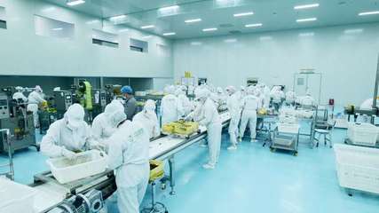 疆果果 深耕新疆堅果，以創(chuàng)新研發(fā)打造品質(zhì)與文化融合的產(chǎn)業(yè)標桿