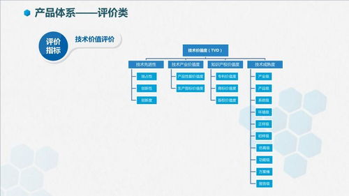 智信九鼎技術價值評價 軟件技術推廣服務的專業賦能