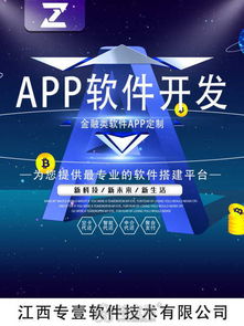 南昌軟件開發公司 技術創新與推廣服務的雙輪驅動